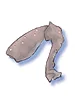 Bug Leg