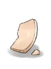 Piece of Egg Shell