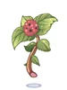 Poison Herb Rantana