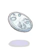 Mithril Coin