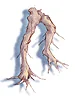 Maneater Root