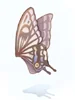 Giant Butterfly Wing