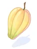 Cacao