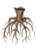 Tree Root