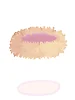 Bird Nest