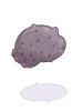 Carnium