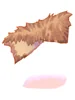 Animal Skin