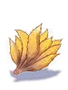 Nine Tails
