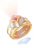 Expert Ring