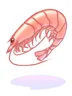 Shrimp
