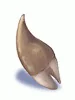 Ogre Tooth