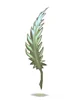 Sharp Leaf