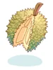Durian