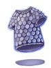 Saphien's Armor of Ocean