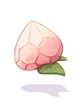 Solid Peach