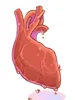 Heart of Mermaid