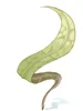 Herb