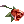 Scarlet Rose icon