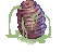 Pupa, dying