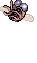 Chonchon, dying