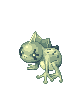 Roda Frog, walking