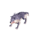 Wolf, attacking