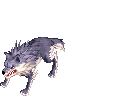 Wolf, dying
