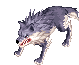 Wolf, standing