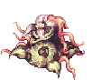 Mandragora, dying