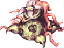 Mandragora, standing