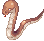 Anacondaq, standing