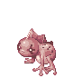 Thara Frog, walking