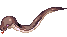 Side Winder, walking