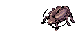 Thief Bug, attacking