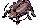 Thief Bug, dying