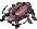 Thief Bug, walking