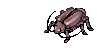 Thief Bug Female, attacking