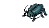 Thief Bug Male, attacking