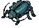 Thief Bug Male, dying
