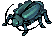 Thief Bug Male, standing
