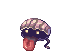 Shellfish, attacking