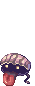 Shellfish, walking