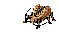 Golden Thief Bug, attacking