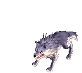 Vagabond Wolf, attacking