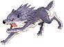 Vagabond Wolf, walking