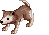 Baby Desert Wolf, dying