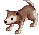 Baby Desert Wolf, standing