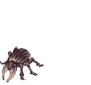 Horn, dying