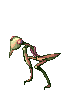 Mantis, walking