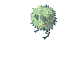 Rafflesia, attacking